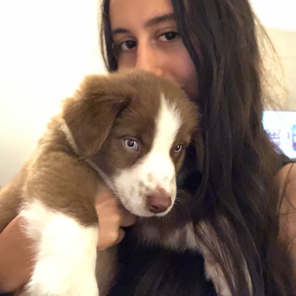 Meet your Posher, Sofia